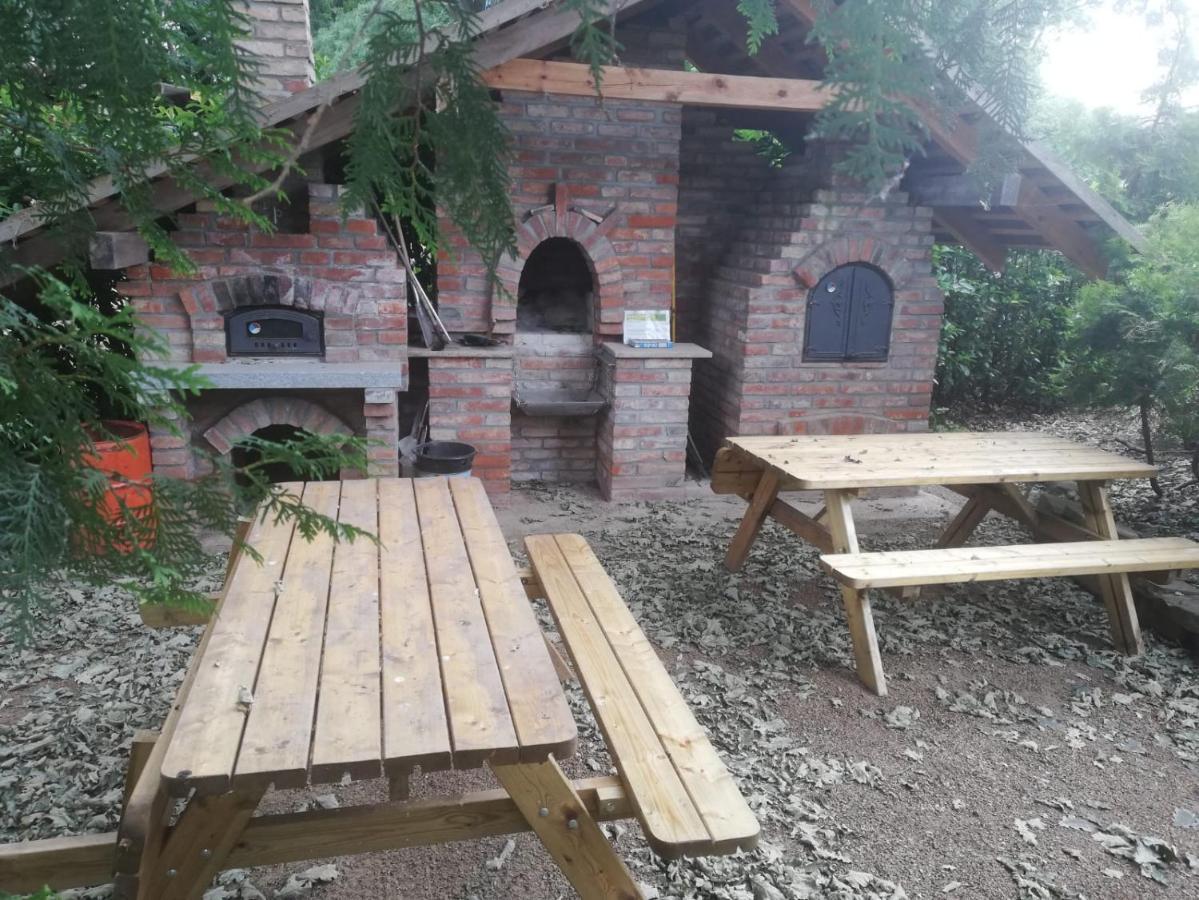 Ferienwohnungen Margaretenhof, Plaue Margarethenhof 외부 사진