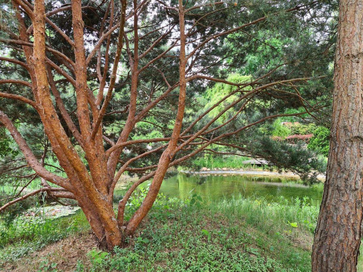 Ferienwohnungen Margaretenhof, Plaue Margarethenhof 외부 사진